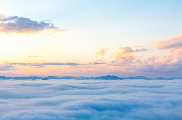 风儿流着泪会枯萎这首歌的歌名什么？